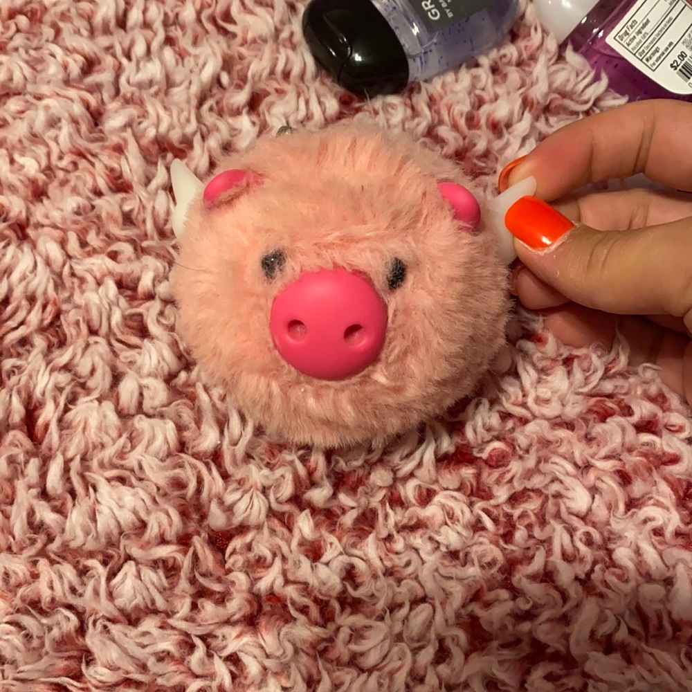 Hand sanitizer holder